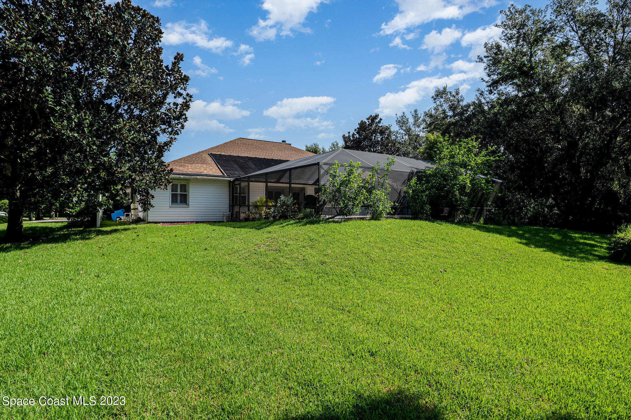 4309 Davidia Drive Melbourne, FL 32934 - Photo 39 of 47 Back yard