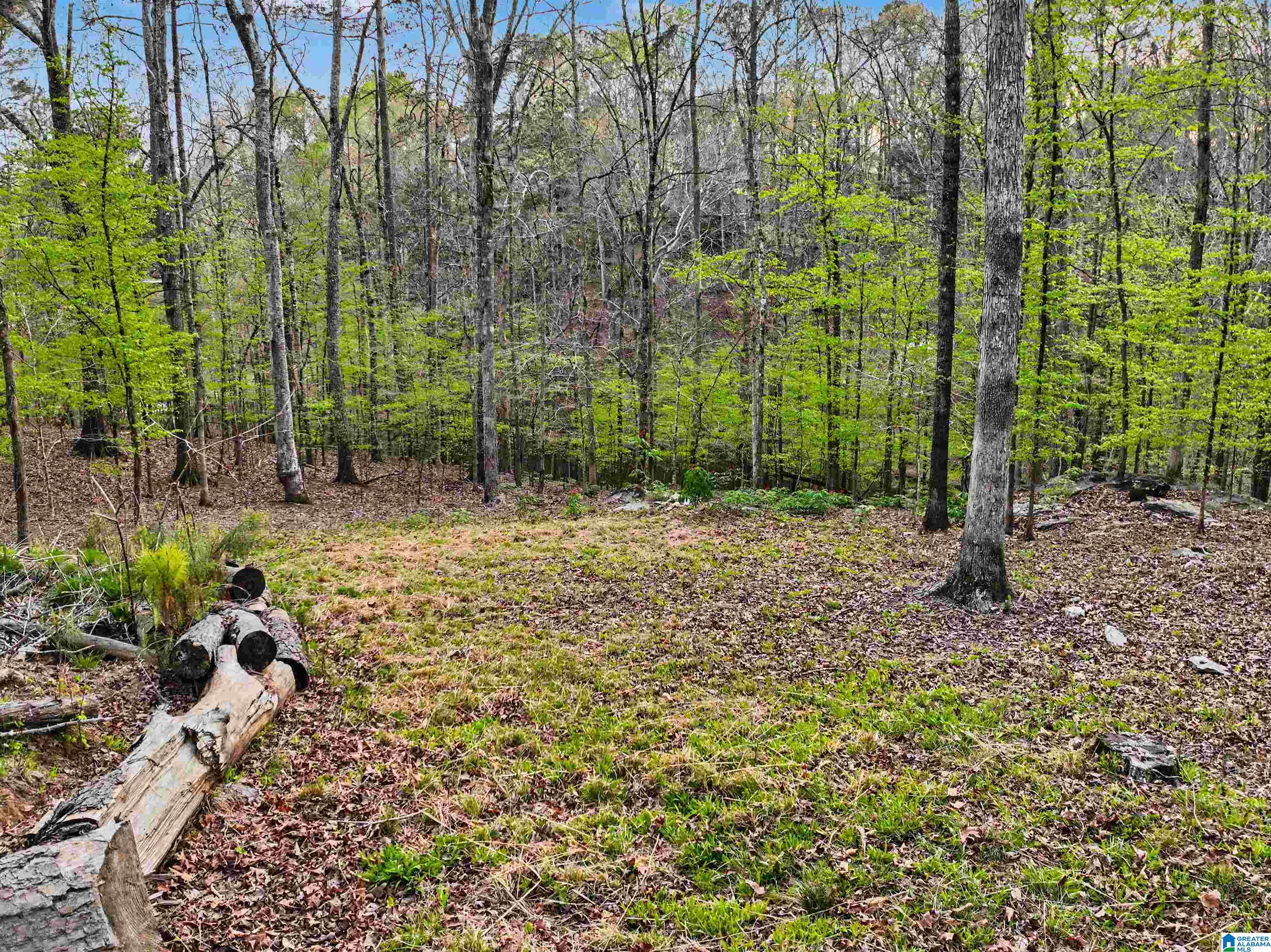 841 Raintree Drive, Unit 53 Alexander City, AL 35010 - Photo 11 of 17