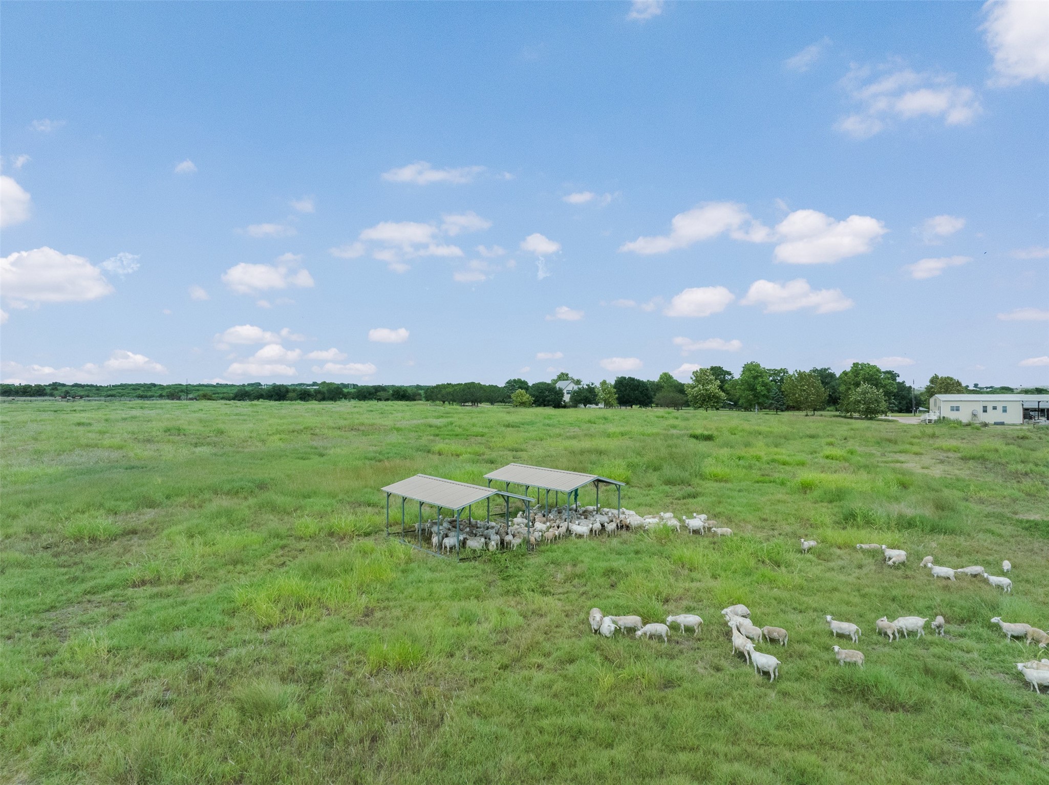 5255 Ganske Road Burton, TX 77835 - Photo 43 of 50 Gallery Image 43
