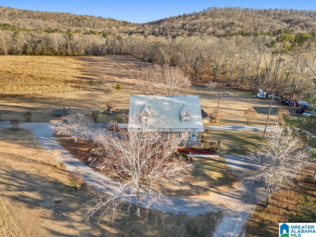 200 Carter Drive Springville, AL 35146 - Photo 15 of 66