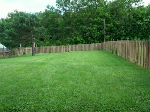 175 Morganza Road Canonsburg, PA 15317 - Photo 8 of 8 Yard/Garden.