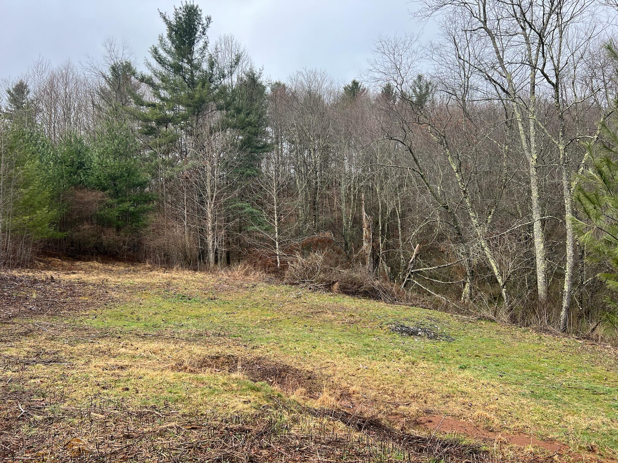 Meadow Bridge Rd Meadow Bridge Meadow Bridge, WV 25976 - Photo 20 of 22 Gallery Image 20