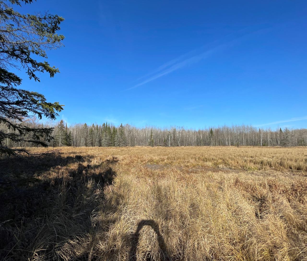 Lot 3 Murphy Lake Road Presque Isle, WI 54557 - Photo 11 of 12 Gallery Image 11