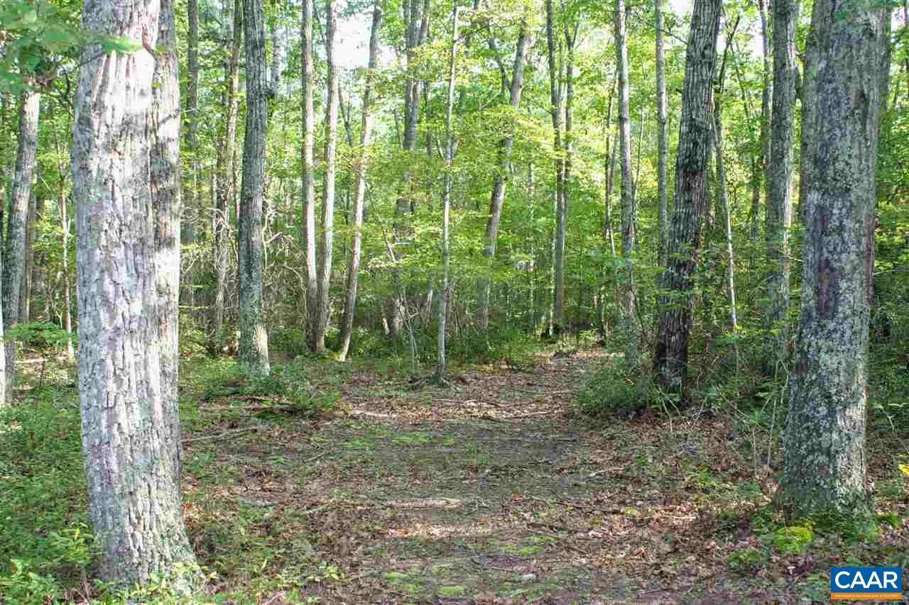 Tba Lot 2 Tba Route South Dillwyn, VA 23936 - Photo 25 of 39 Gallery Image 25