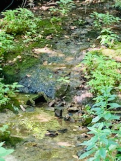 1866 Rock Church Road Charlotte, TN 37036 - Photo 39 of 46 Gallery Image 39