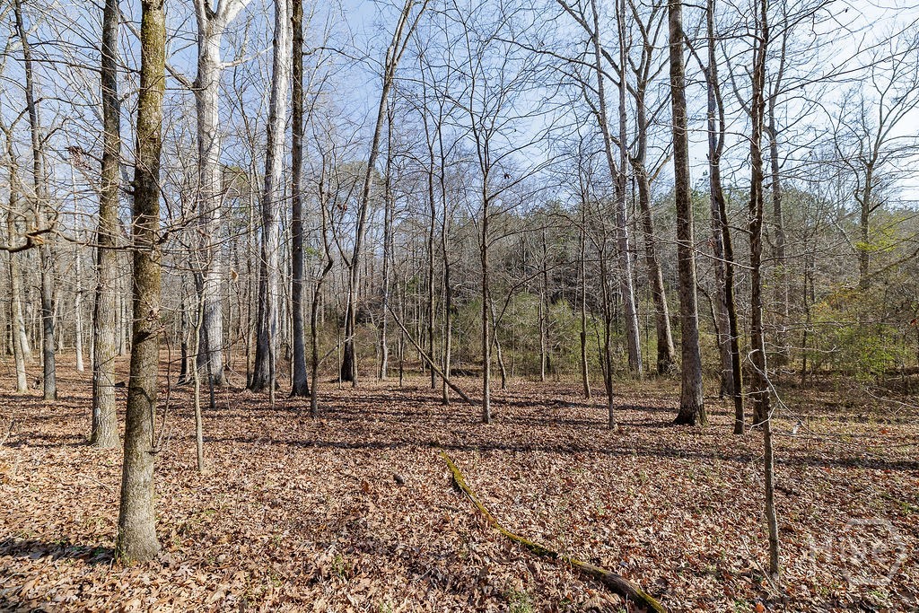 2644 Nunnally Shoals Road Good Hope, GA 30641 - Photo 9 of 17 Gallery Image 9