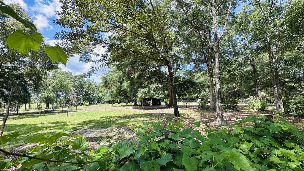 17639 North Creek Road Florala, AL 36442 - Photo 4 of 40