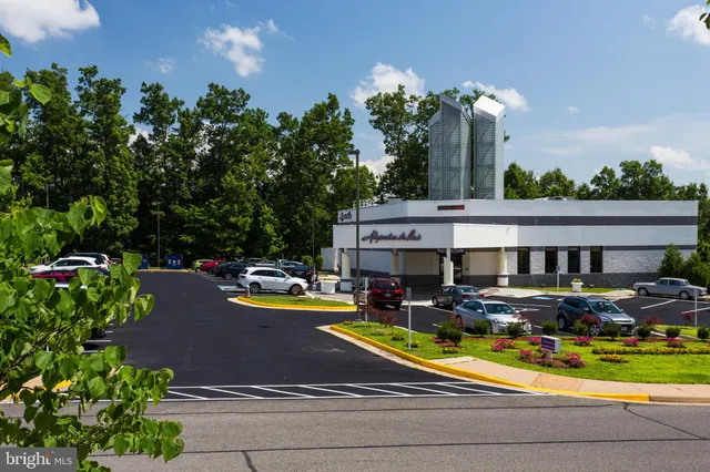 a view of a swimming pool with a yard and potted plants
