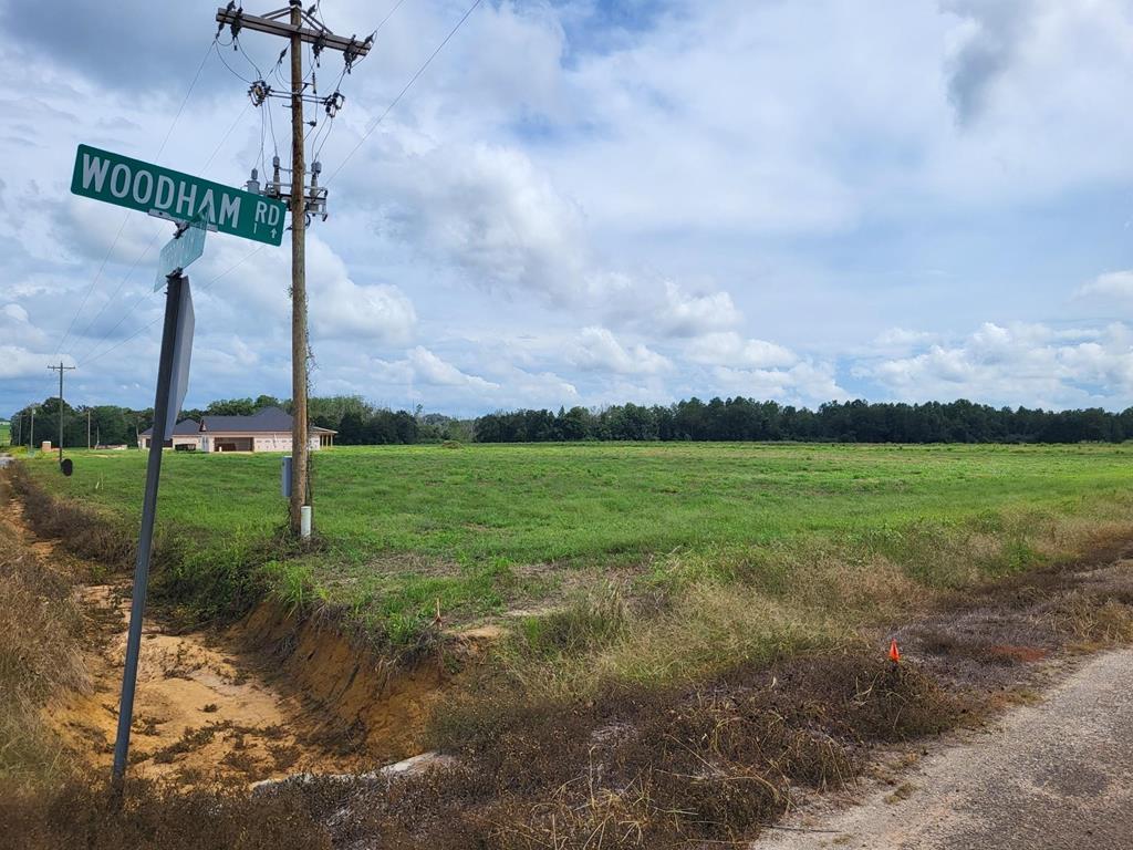 Lot 2 Enterprise Church Road Ashford, AL 36312 - Photo 3 of 8