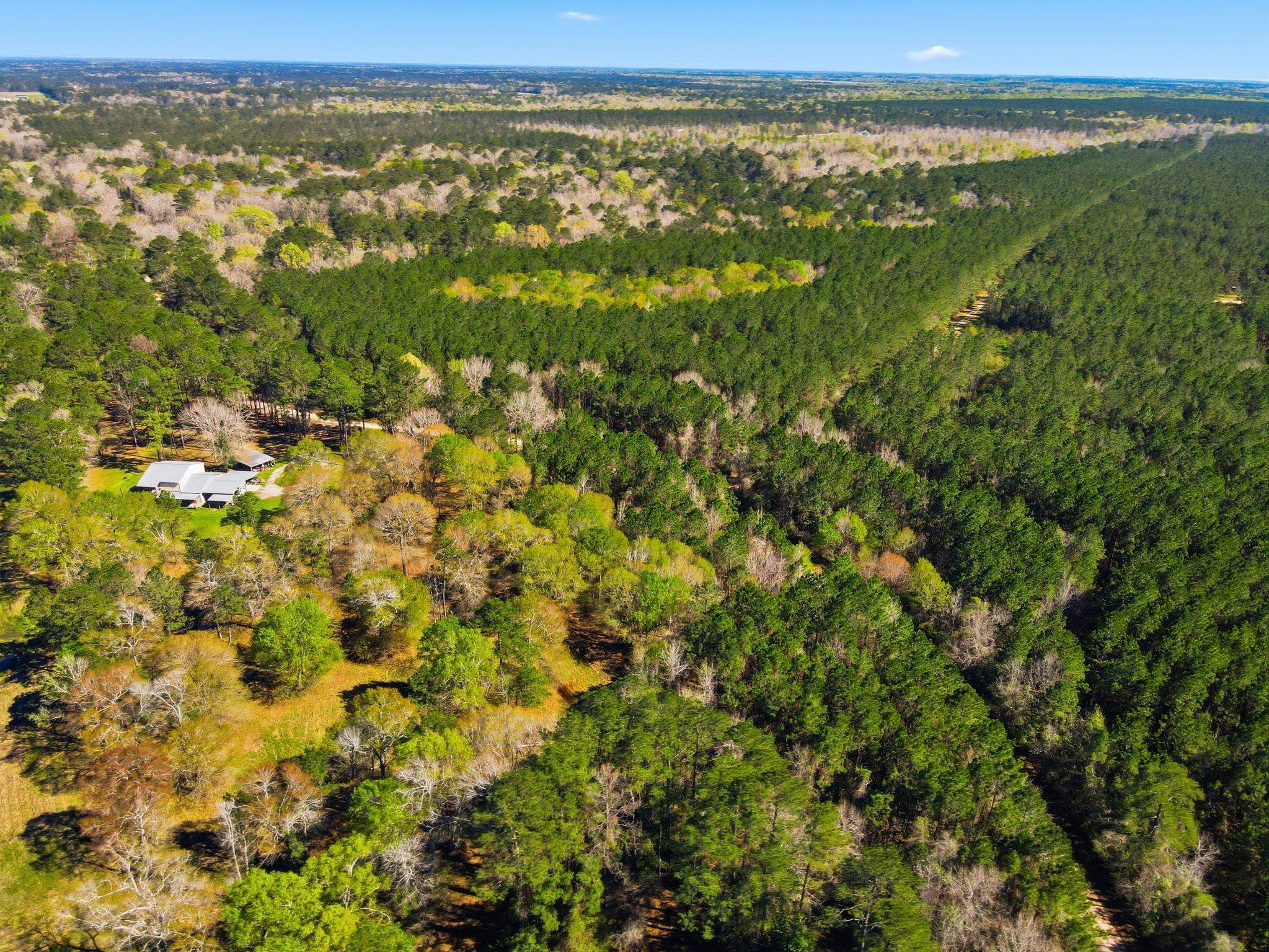 0 Silver Star Road Sour Lake, TX 77659 - Photo 8 of 8