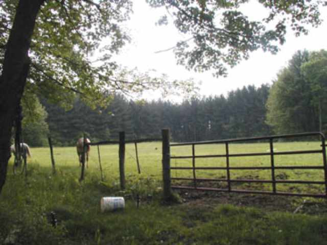 341 South Line Road Galway, NY 12074 - Photo 11 of 12 Photo 11