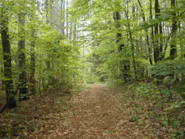 341 South Line Road Galway, NY 12074 - Photo 12 of 12 Photo 12
