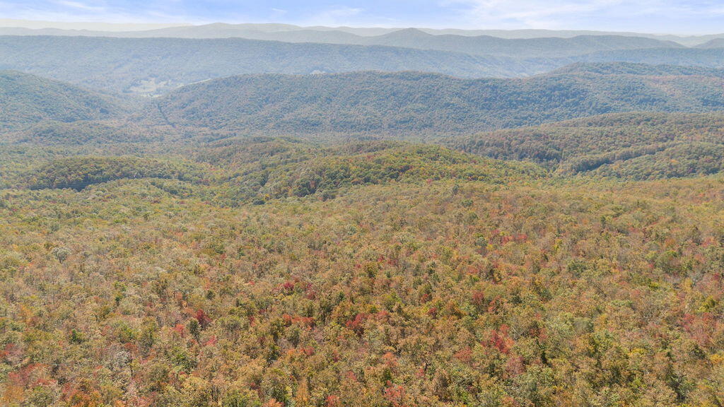 Lot 13 Oneida Peak Road Bastian, VA 24314 - Photo 1 of 28 1