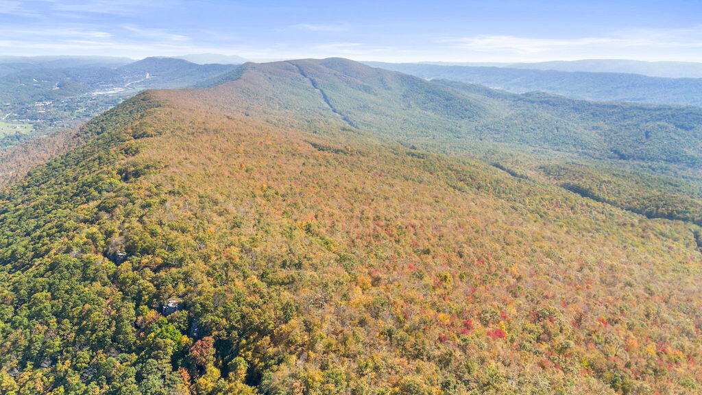 Lot 13 Oneida Peak Road Bastian, VA 24314 - Photo 11 of 28 11