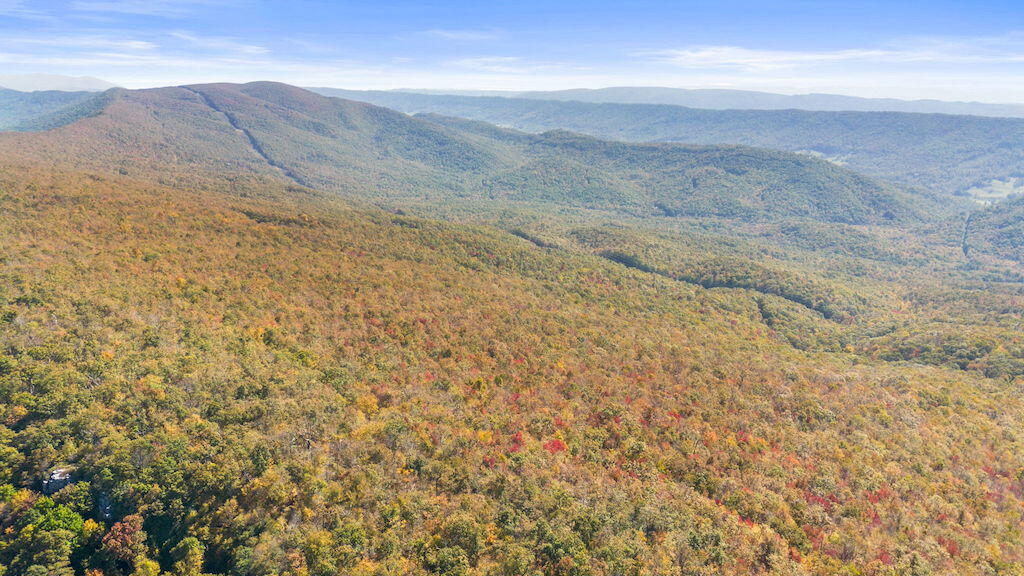 Lot 13 Oneida Peak Road Bastian, VA 24314 - Photo 12 of 28 12