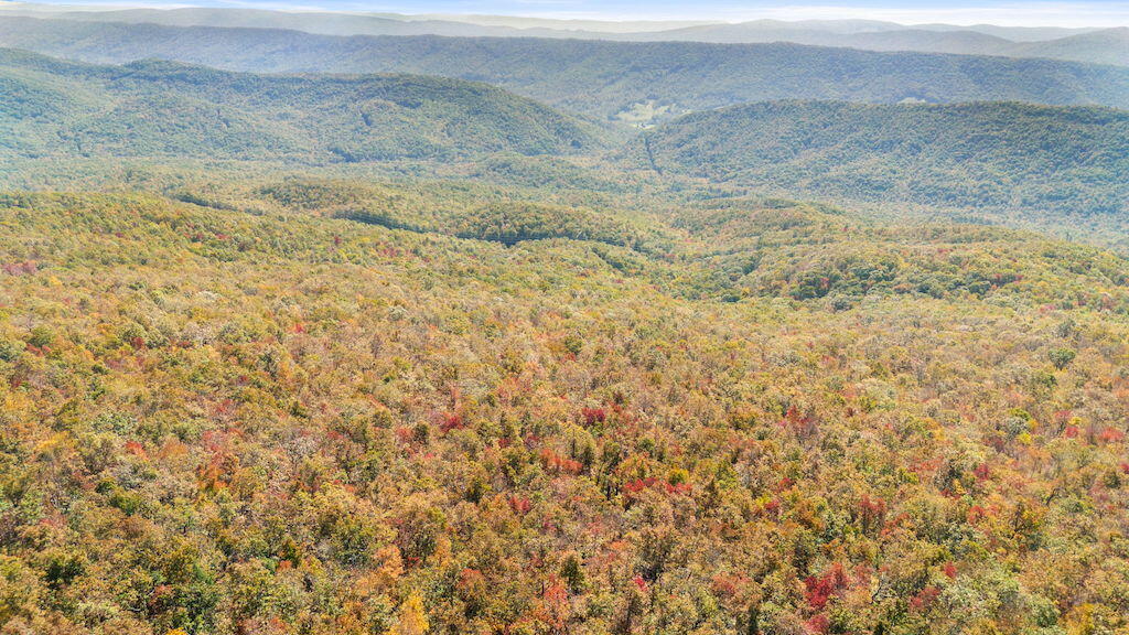 Lot 13 Oneida Peak Road Bastian, VA 24314 - Photo 13 of 28 13