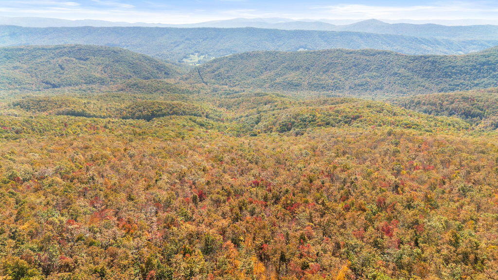 Lot 13 Oneida Peak Road Bastian, VA 24314 - Photo 14 of 28 14