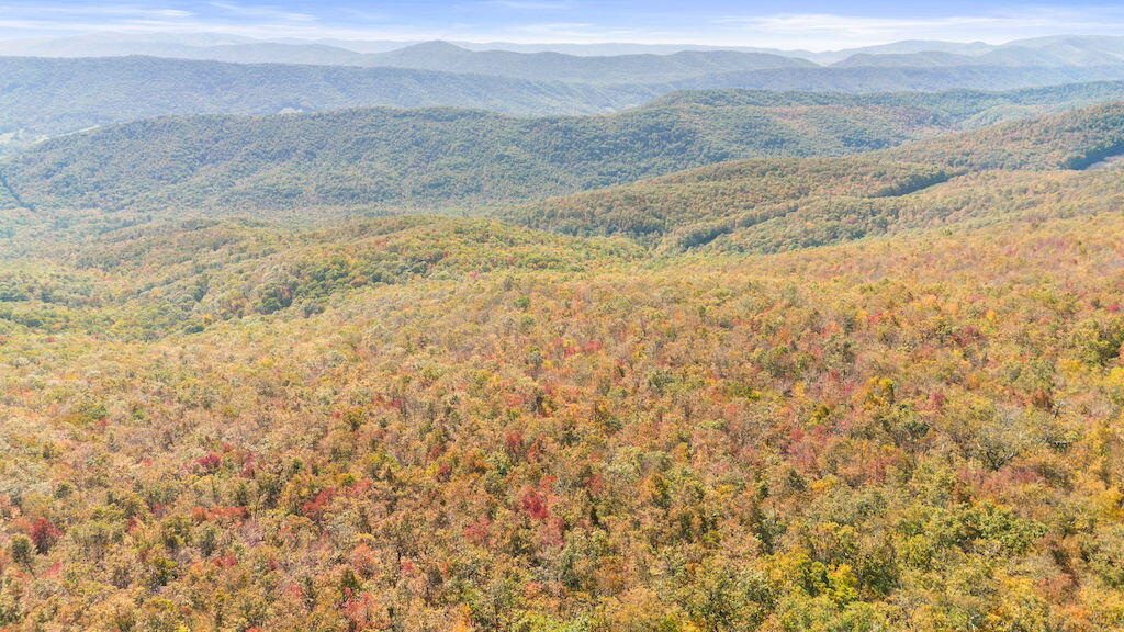 Lot 13 Oneida Peak Road Bastian, VA 24314 - Photo 15 of 28 15