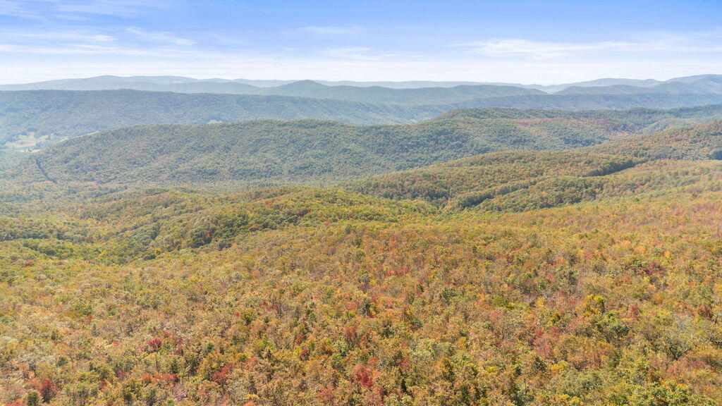 Lot 13 Oneida Peak Road Bastian, VA 24314 - Photo 16 of 28 16