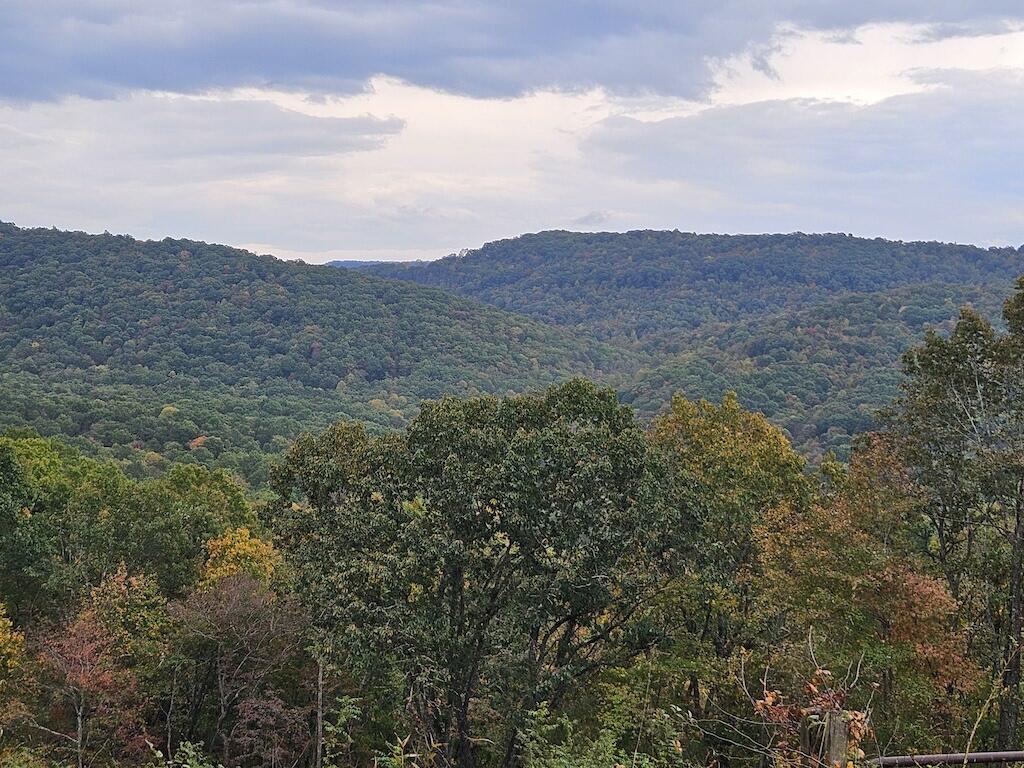 Lot 13 Oneida Peak Road Bastian, VA 24314 - Photo 18 of 28 1ground