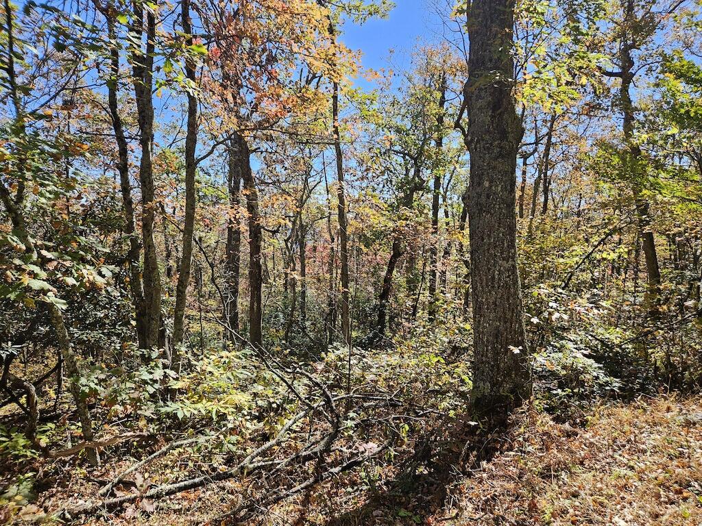 Lot 13 Oneida Peak Road Bastian, VA 24314 - Photo 19 of 28 2ground