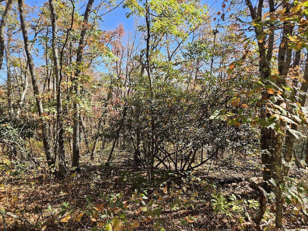 Lot 13 Oneida Peak Road Bastian, VA 24314 - Photo 20 of 28 3ground