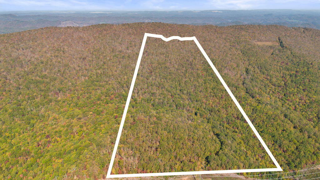 Lot 13 Oneida Peak Road Bastian, VA 24314 - Photo 2 of 28 2