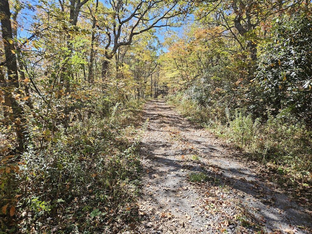 Lot 13 Oneida Peak Road Bastian, VA 24314 - Photo 21 of 28 4ground