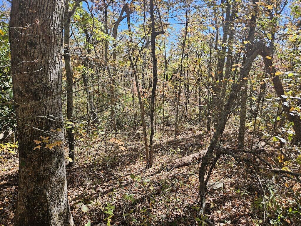 Lot 13 Oneida Peak Road Bastian, VA 24314 - Photo 22 of 28 5ground