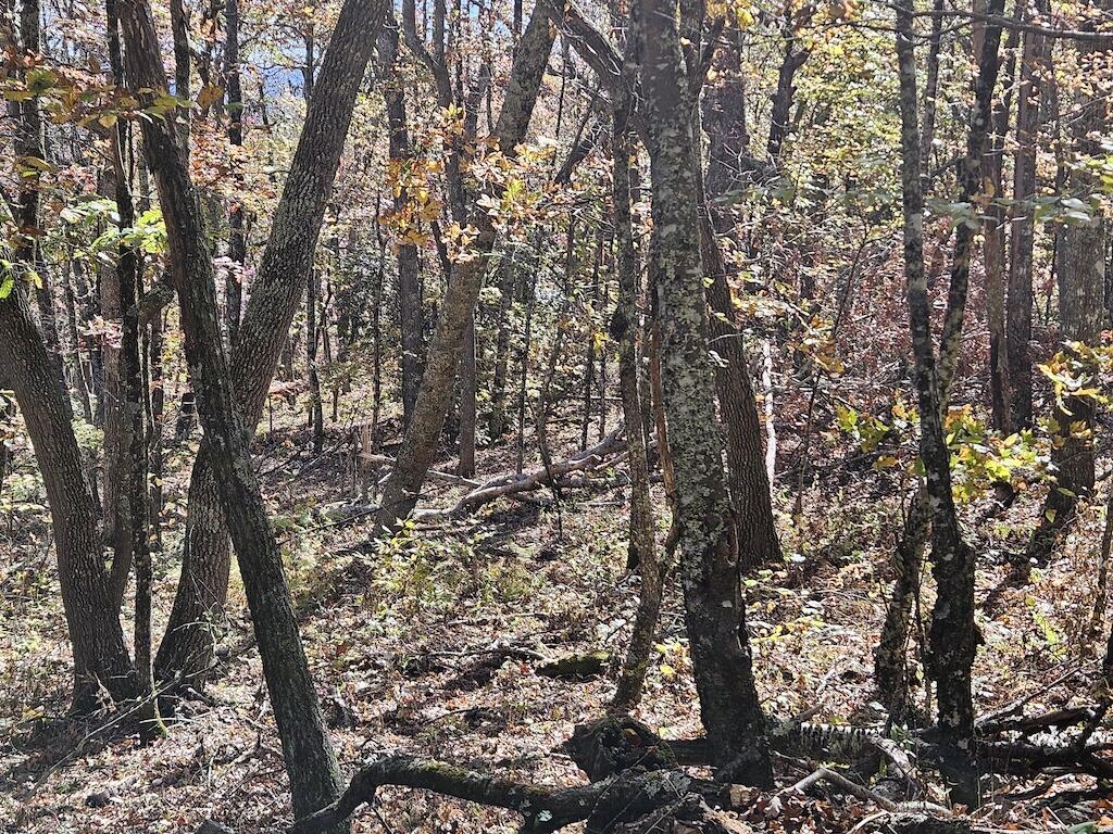 Lot 13 Oneida Peak Road Bastian, VA 24314 - Photo 24 of 28 7ground