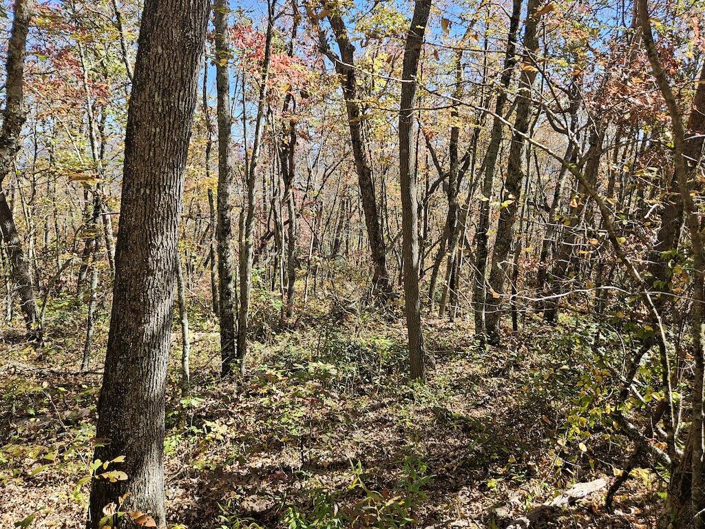 Lot 13 Oneida Peak Road Bastian, VA 24314 - Photo 27 of 28 10ground
