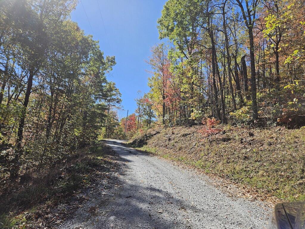 Lot 13 Oneida Peak Road Bastian, VA 24314 - Photo 28 of 28 11ground