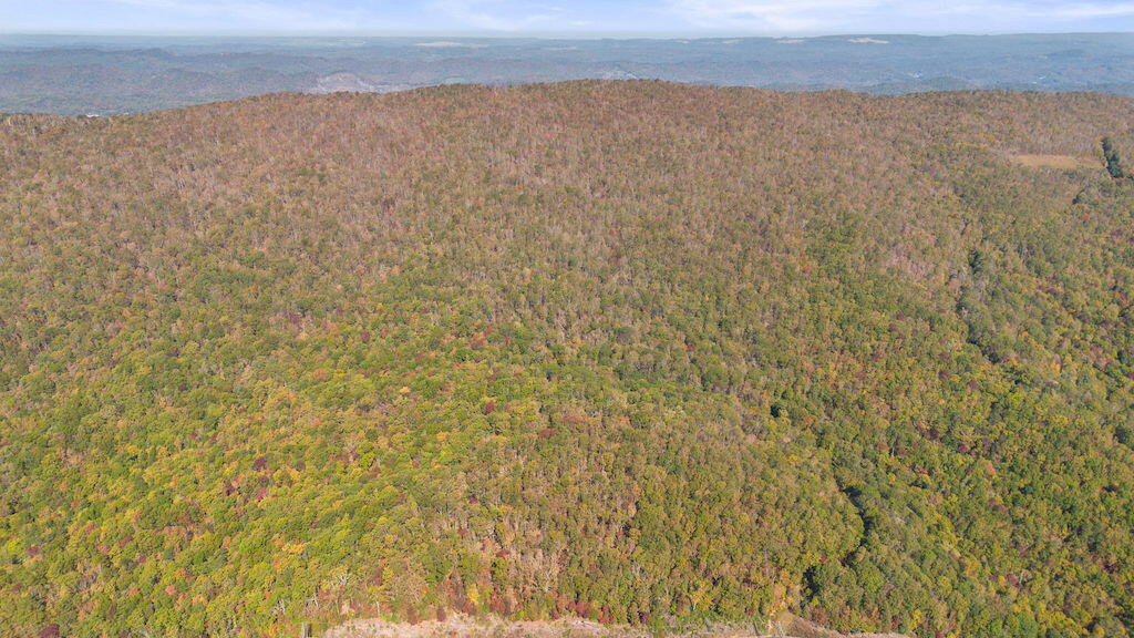 Lot 13 Oneida Peak Road Bastian, VA 24314 - Photo 3 of 28 3