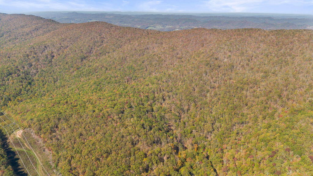 Lot 13 Oneida Peak Road Bastian, VA 24314 - Photo 4 of 28 4