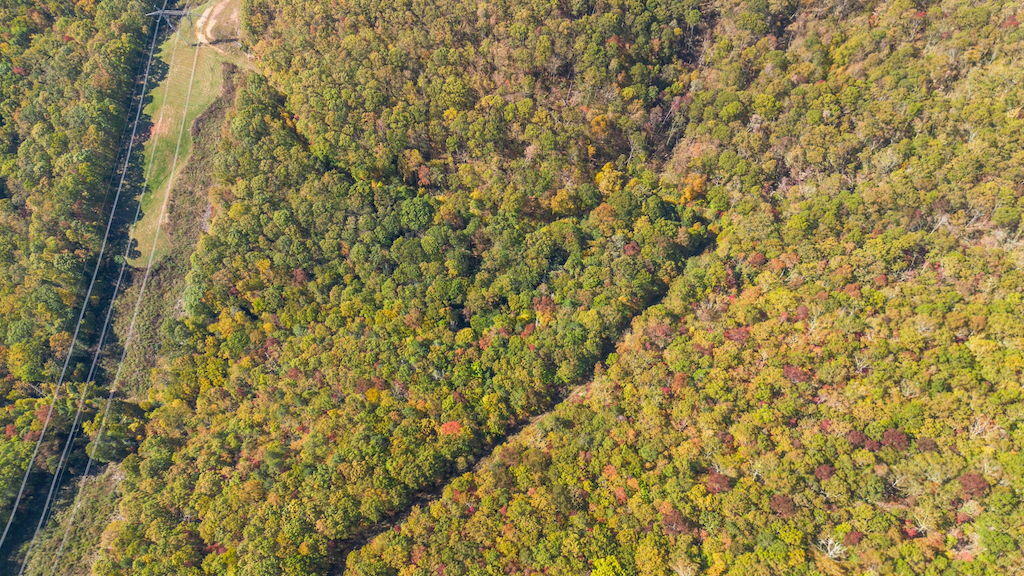 Lot 13 Oneida Peak Road Bastian, VA 24314 - Photo 5 of 28 5