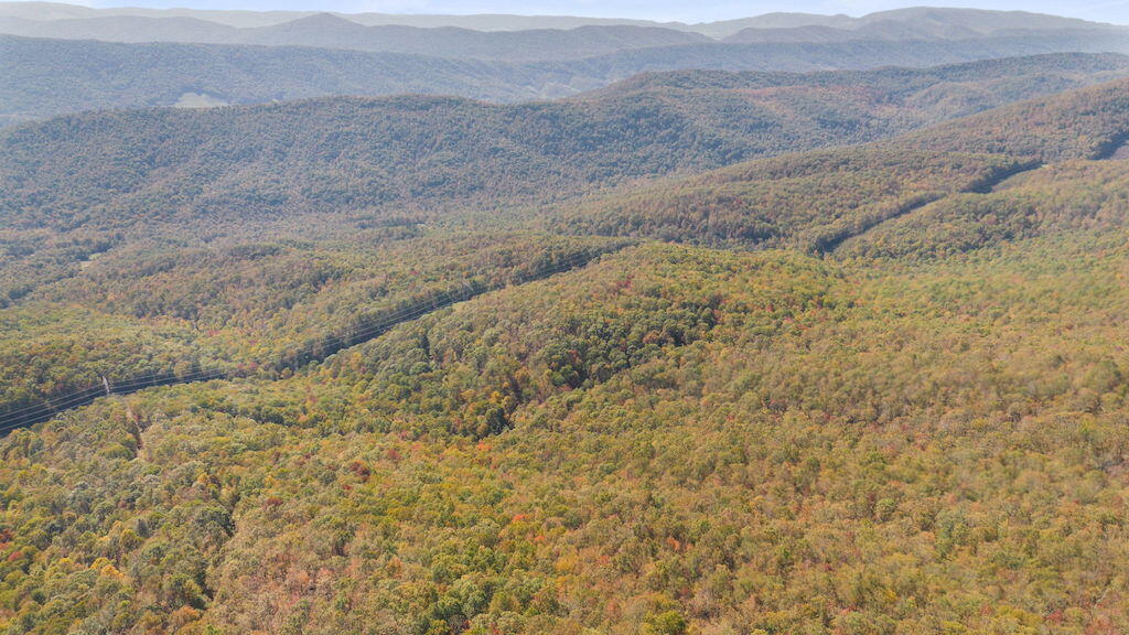 Lot 13 Oneida Peak Road Bastian, VA 24314 - Photo 6 of 28 6