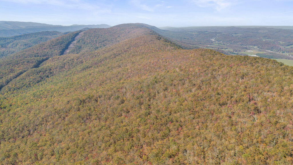 Lot 13 Oneida Peak Road Bastian, VA 24314 - Photo 7 of 28 7