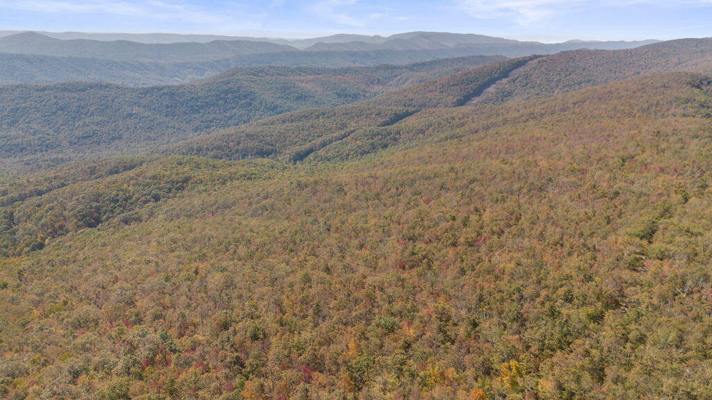 Lot 13 Oneida Peak Road Bastian, VA 24314 - Photo 8 of 28 8
