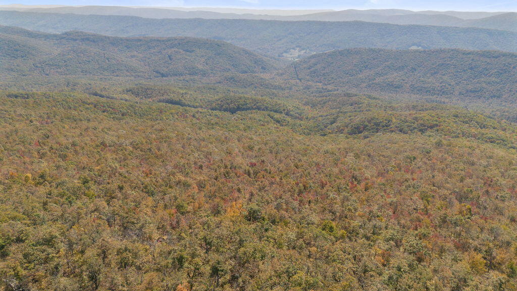 Lot 13 Oneida Peak Road Bastian, VA 24314 - Photo 9 of 28 9