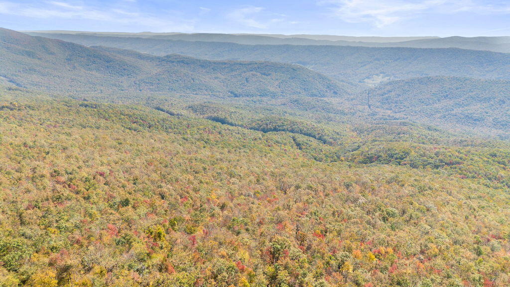 Lot 13 Oneida Peak Road Bastian, VA 24314 - Photo 10 of 28 10