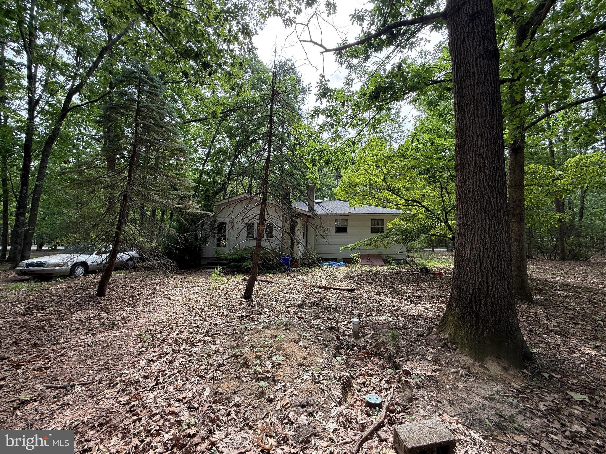 227 Oakshade Road Tabernacle, NJ 08088 - Photo 2 of 16