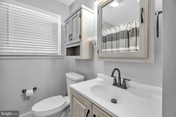 a bathroom with a sink a toilet and mirror