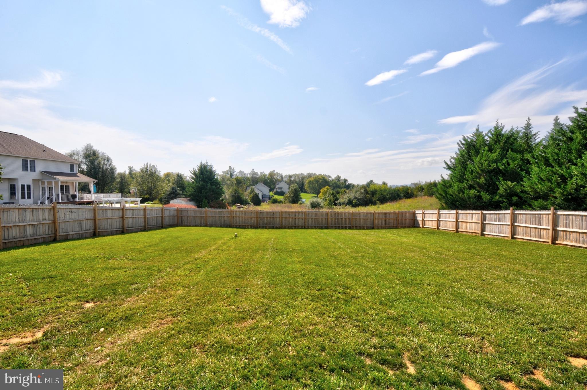 57 Clear Back Road Front Royal, VA 22630 - Photo 40 of 45 Back Yard