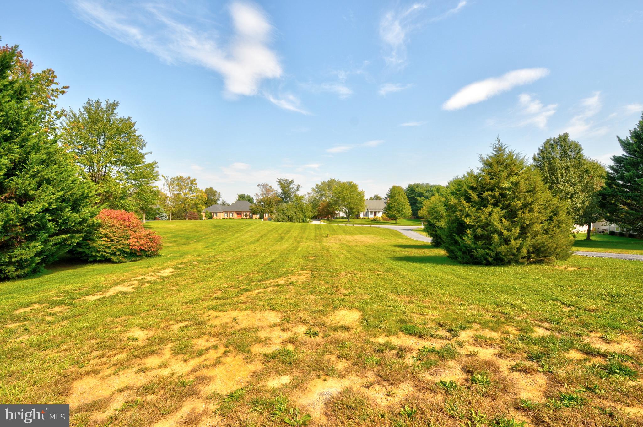 Front yard