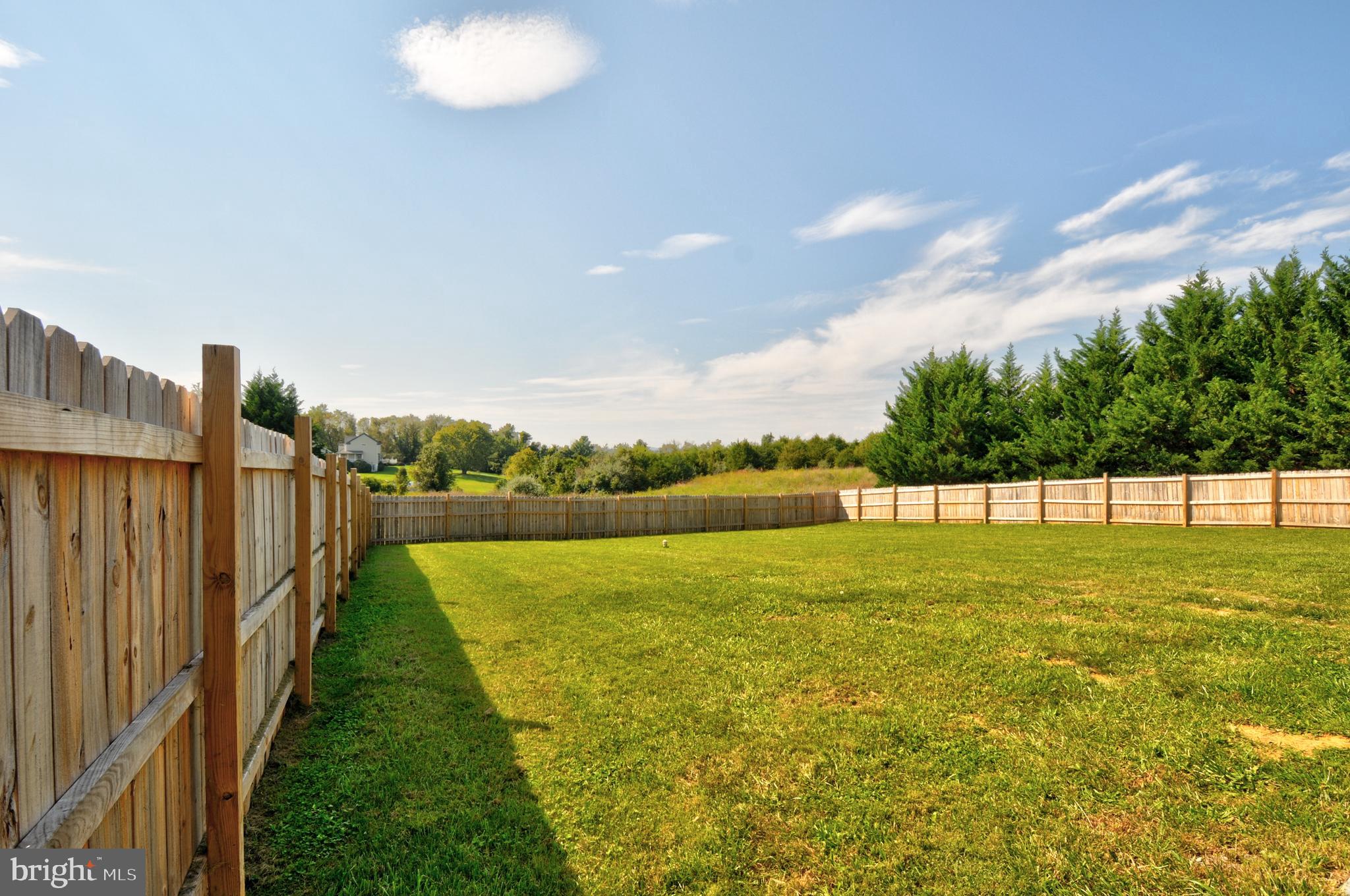 57 Clear Back Road Front Royal, VA 22630 - Photo 42 of 45 Back Yard