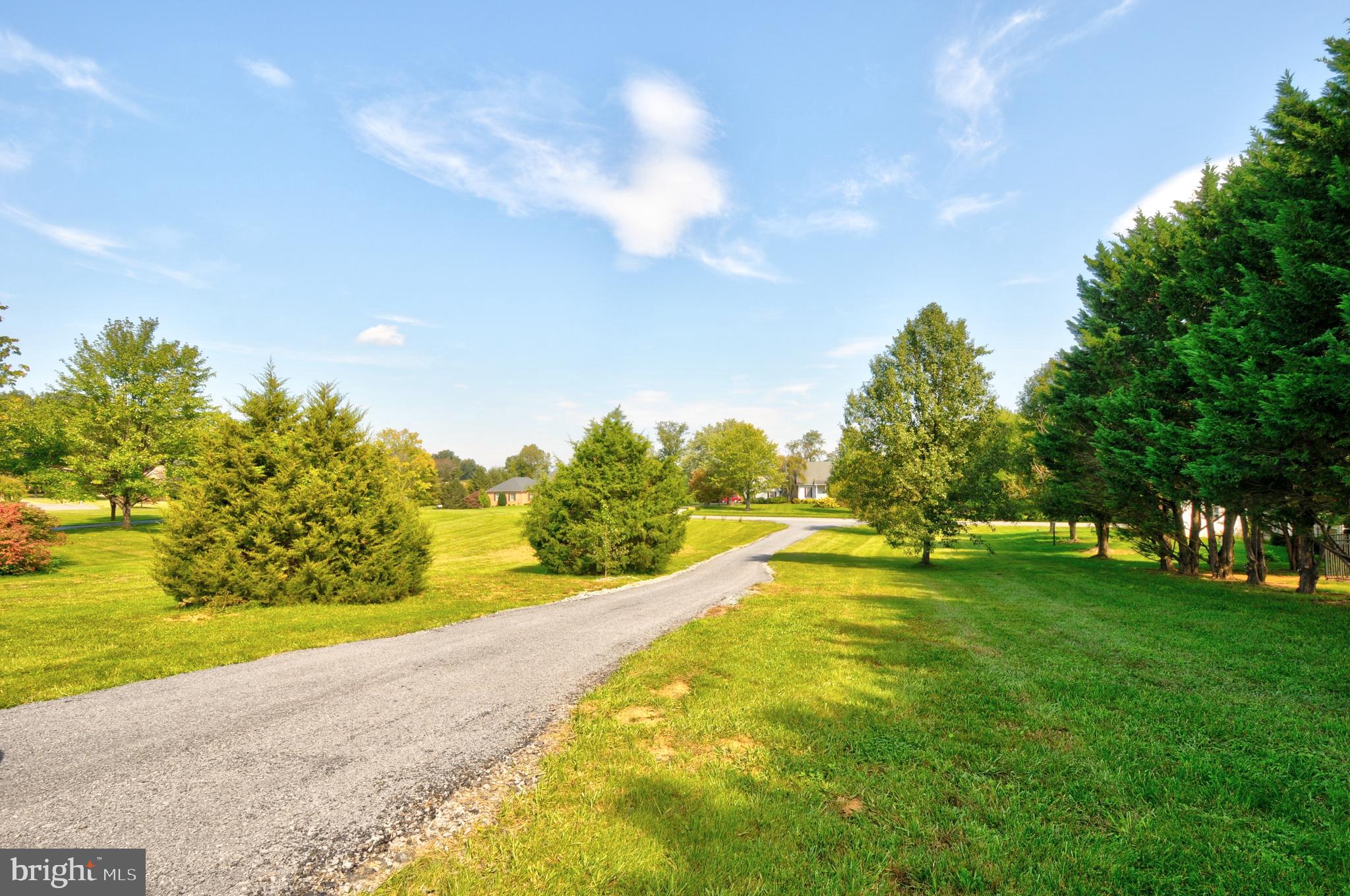 57 Clear Back Road Front Royal, VA 22630 - Photo 45 of 45 Driveway