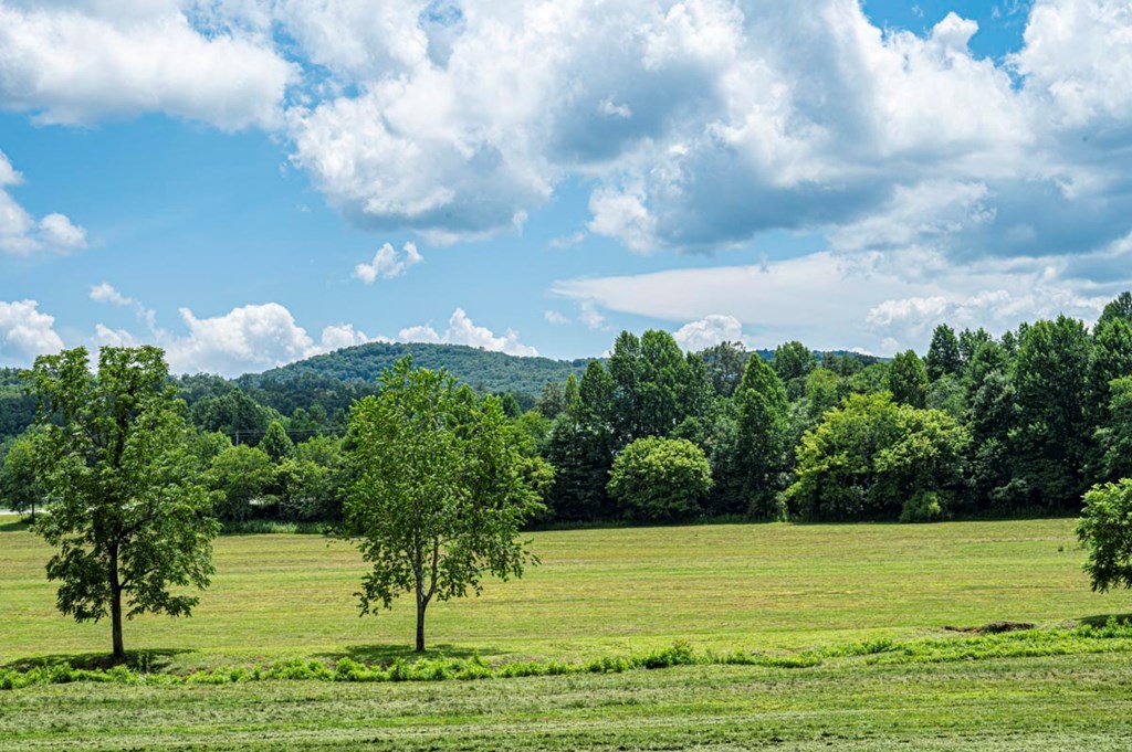 151 The Ridges Morganton, GA 30560 - Photo 16 of 35