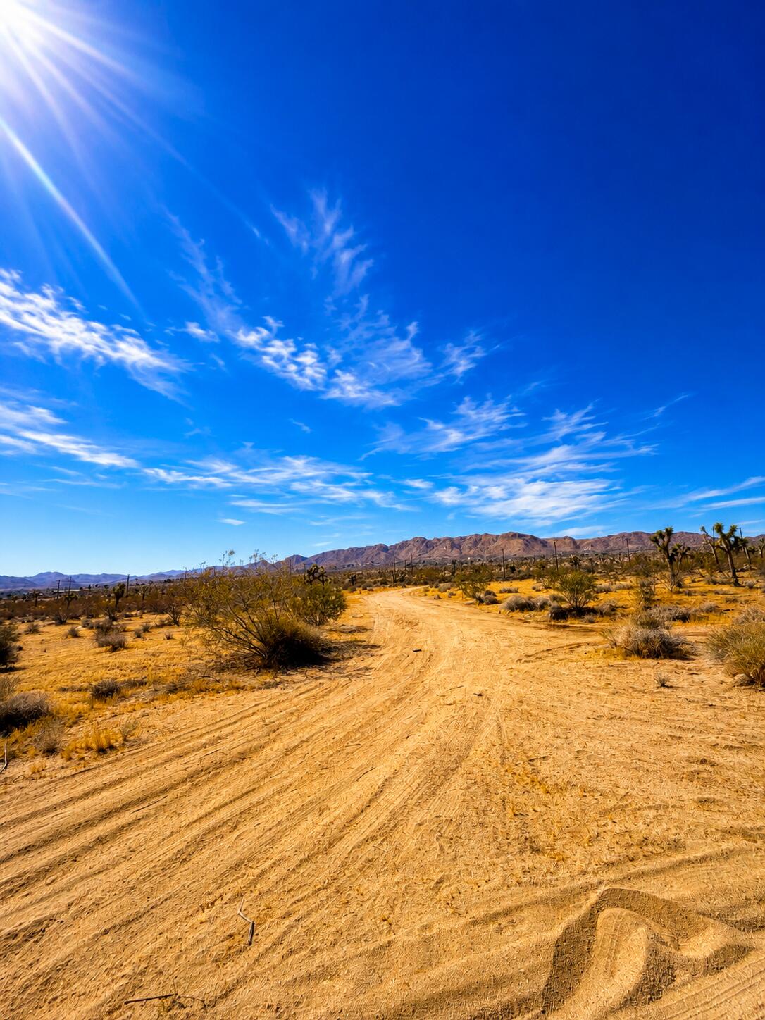 0 Rockwood Road Joshua Tree, CA 92252 - Photo 5 of 10 73A3A372-1326-45AF-8F9C-50FC0123C484
