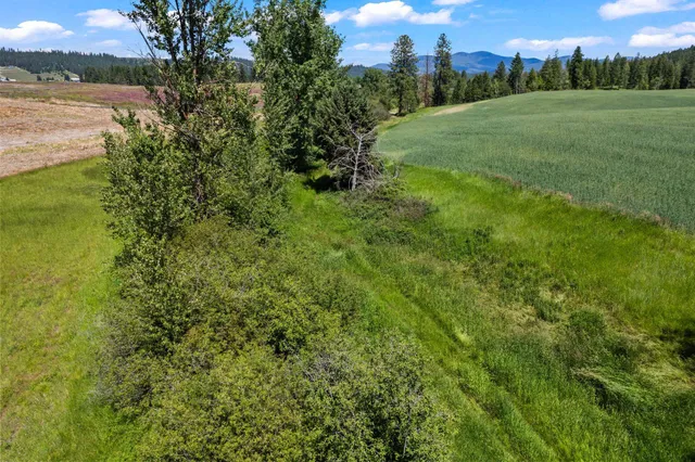 $1,350,000 | 20141 North Bernhill Road, Colbert, WA 99005