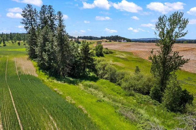 $1,350,000 | 20141 North Bernhill Road, Colbert, WA 99005